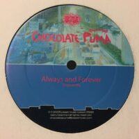 Always And Forever - Chocolate Puma