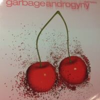Androgyny Remixes - Garbage