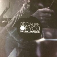 Because Of You - Skunk Anansie / Rusko