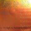 Forever - Key To Life / Banana Republic
