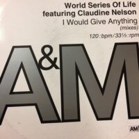 I Would Give Anything - World Series Of Life