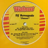 Power - DJ Renegade