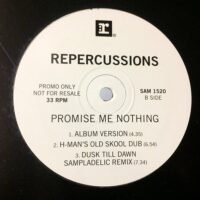 Promise Me Nothing - Repercussions / MAW