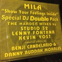 Show Your Feelings Inside - Mila 2x12"