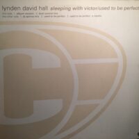 Sleeping With Victor - Lynden David Hall