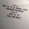 Summer Paradise - DSD vs. YT & Bongo Chilli