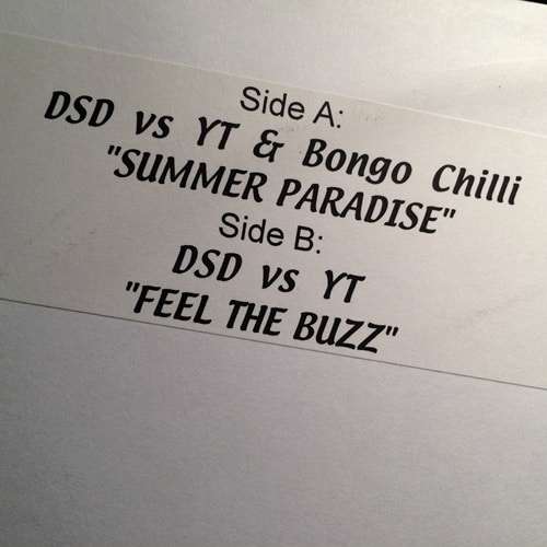 Summer Paradise - DSD vs. YT & Bongo Chilli