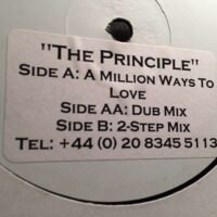A Million Ways To Love - The Principle *WHITE LABEL*