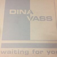 Waiting For You - Dina Vass