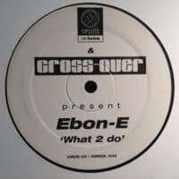 What 2 Do - Ebon-E / Julius / Zed Bias