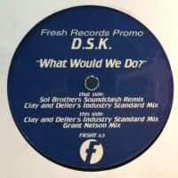 What Would We Do? - DSK / Industry Standard