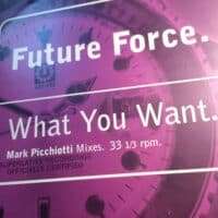 What You Want (Mark Picchiotti Mixes) - Future Force