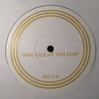 Who Taught You How - Crystal Waters