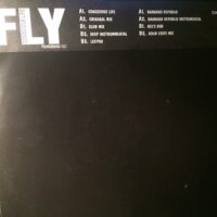 Fly - Conscious Life 2x12"