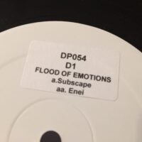Flood Of Emotions - Remixes - D1 *PROMO*