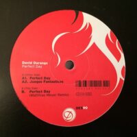 Perfect Day - David Durango