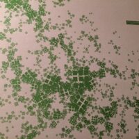 Mosaic Classics Disc 2 - Steve O'Sullivan