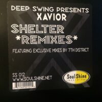 Shelter (Remixes) - Deep Swing