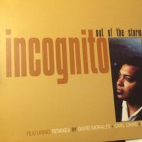 Out Of The Storm - Incognito / David Morales