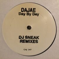 Day By Day (DJ Sneak Remixes) - Dajae