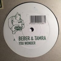 You Wonder - Beber & Tamra