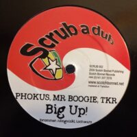 Haffi Rock / Big Up! - Mungo's Hi Fi / Phokus / Mr Boogie / TKR