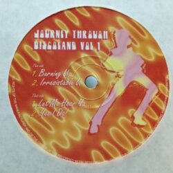 Journey Through Discoland - Vol. 1