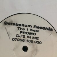 DJ's In Me - The 1 IBear