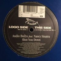 Shot You Down - Audio Bullys