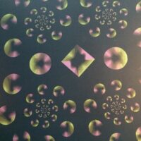 Live From The Multiverse (Infinite One) - Giraffi Dog