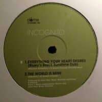 Everything Your Heart Desires - Incognito