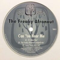 Can You Hear Me - The Freaky Afronaut